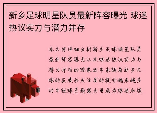 新乡足球明星队员最新阵容曝光 球迷热议实力与潜力并存