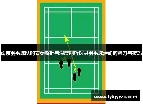 南京羽毛球队的节奏解析与深度剖析探寻羽毛球运动的魅力与技巧