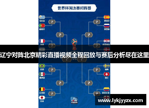 辽宁对阵北京精彩直播视频全程回放与赛后分析尽在这里